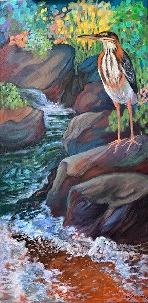 376J Little Heron 2.jpg