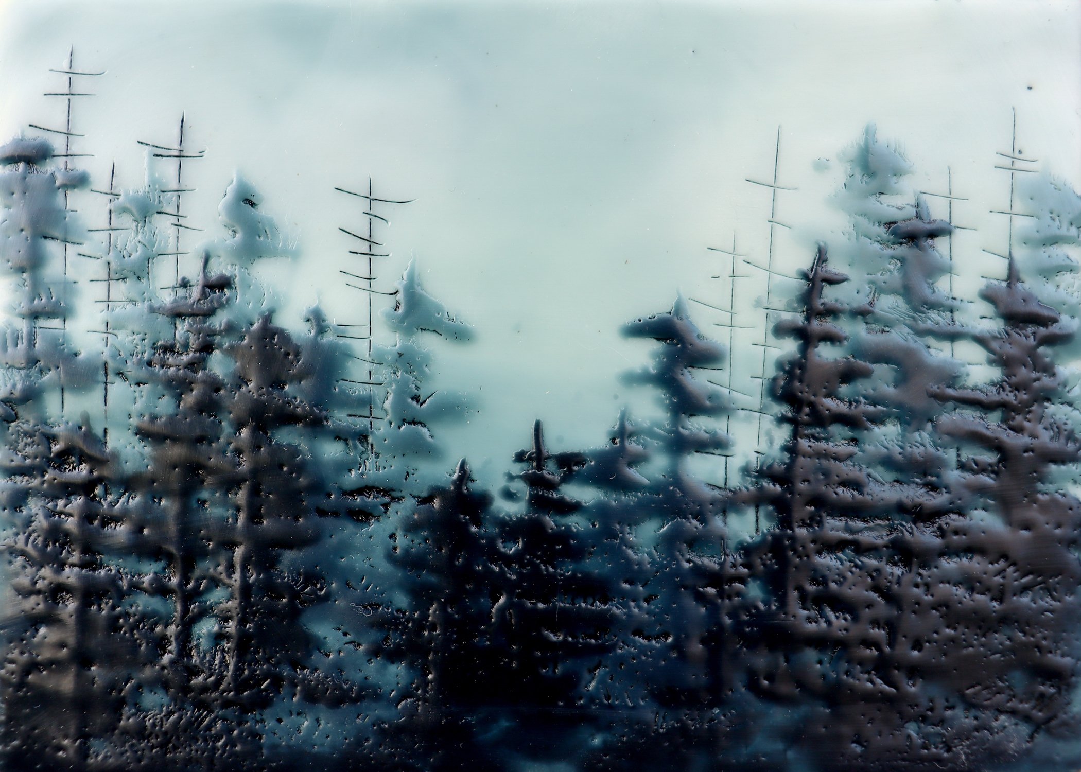 MORNING MIST 126