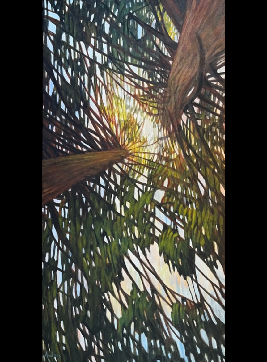 RISING SUN SENTINELS