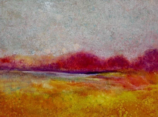 WETLANDS STUDY 1