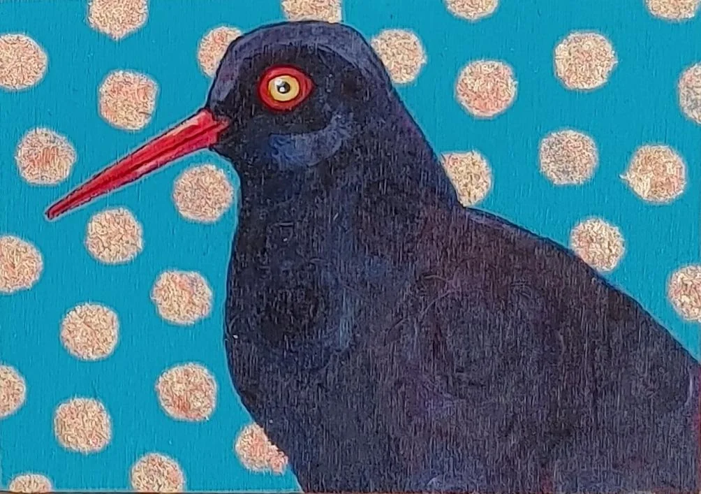 OYSTER CATCHER