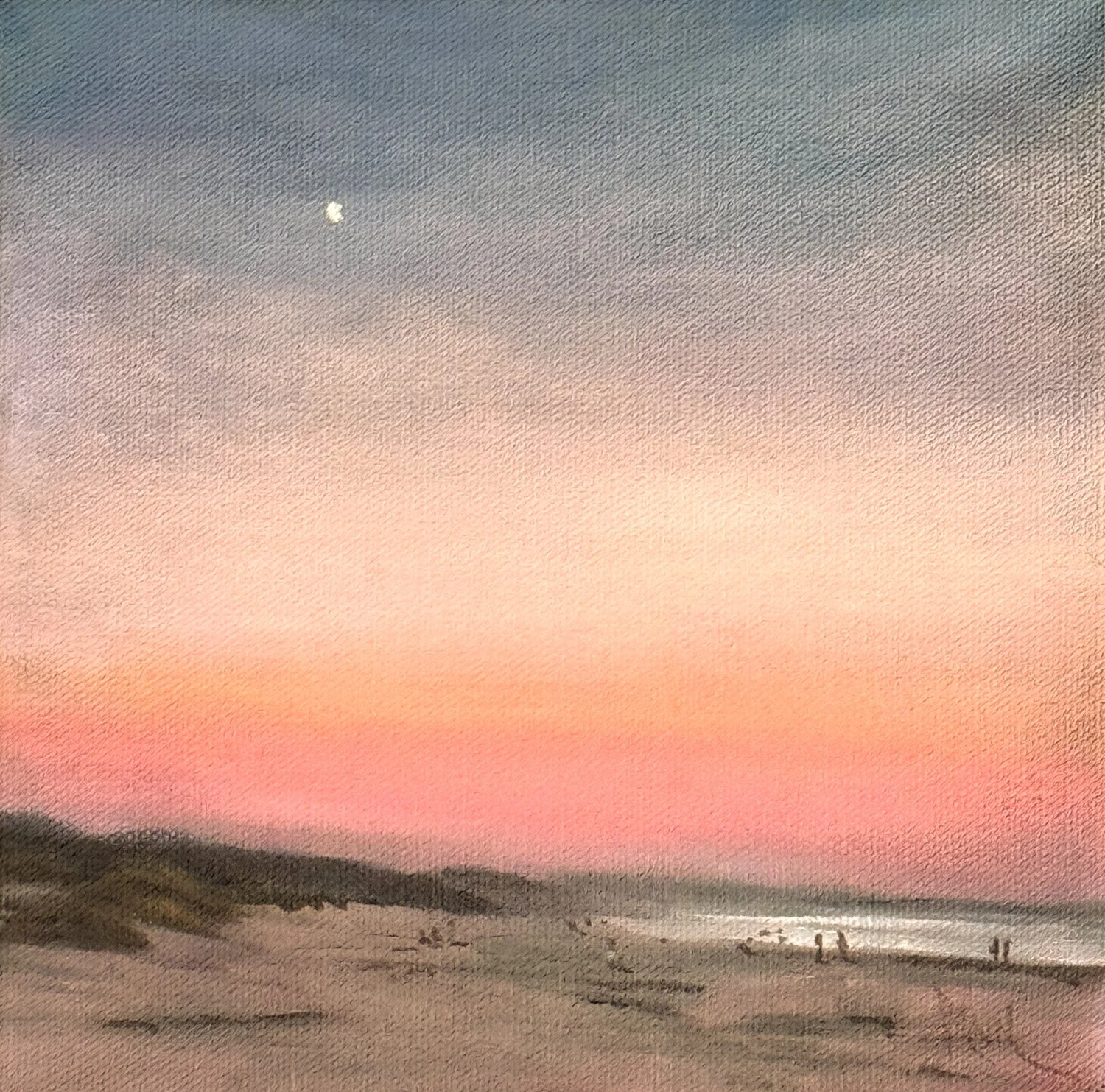 COASTAL HARMONY III
