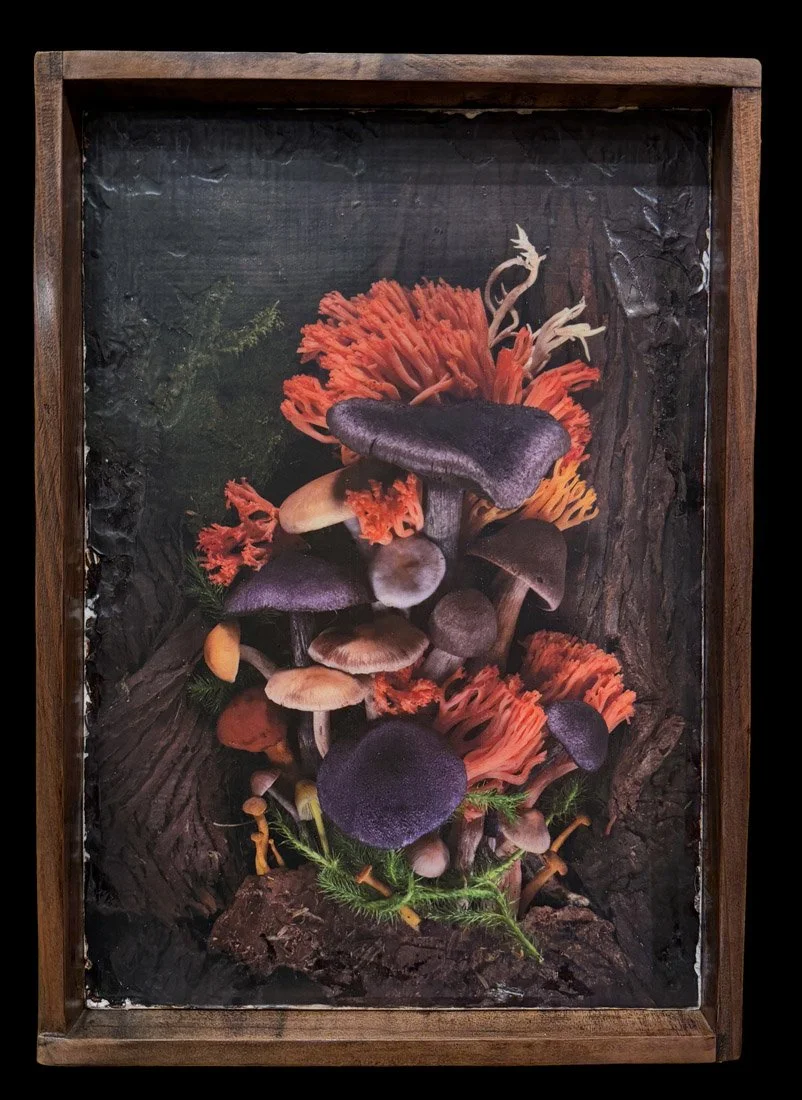 MUSHROOM BOUQUET
