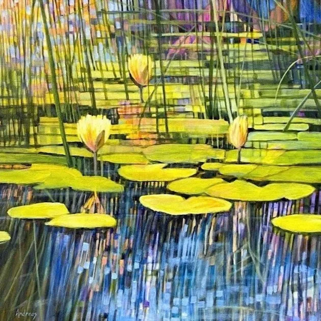 WONDERFUL WATERLILIES