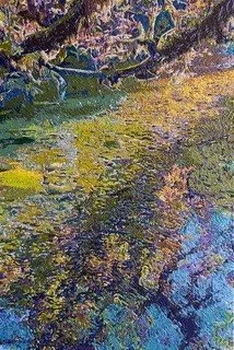 tadpole hidey hole.jpg