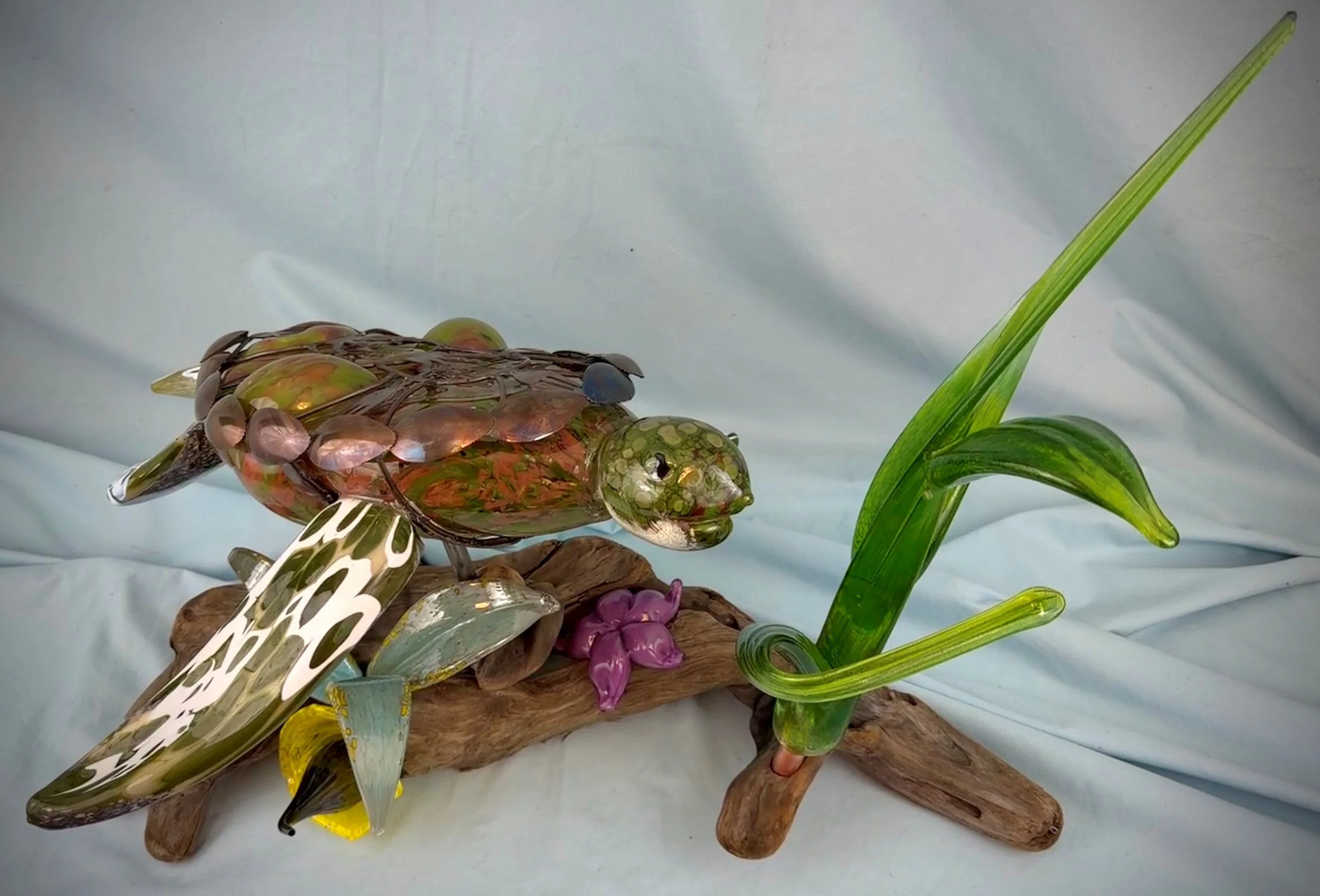 turtle 5.jpg