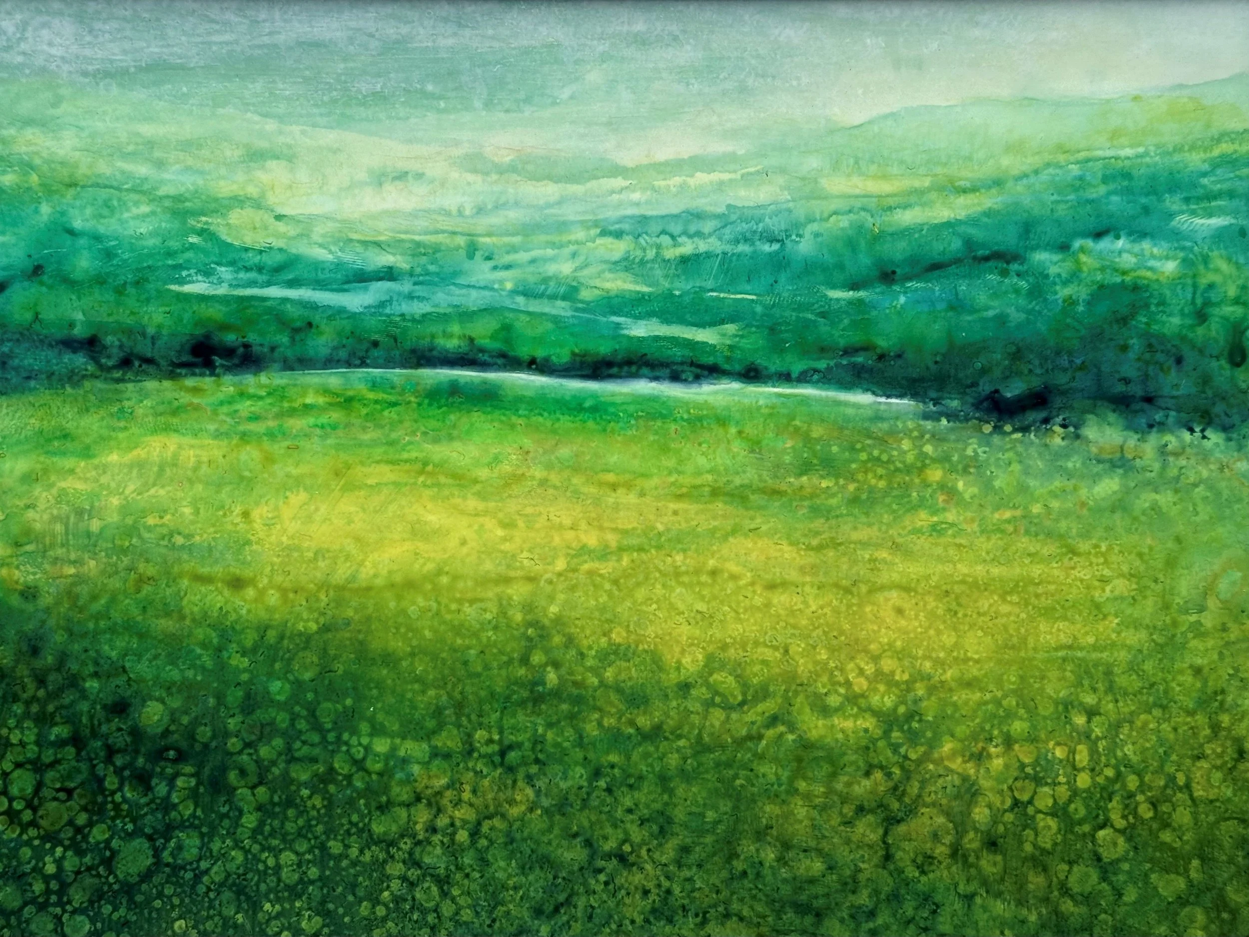 FIELDS STUDY 5