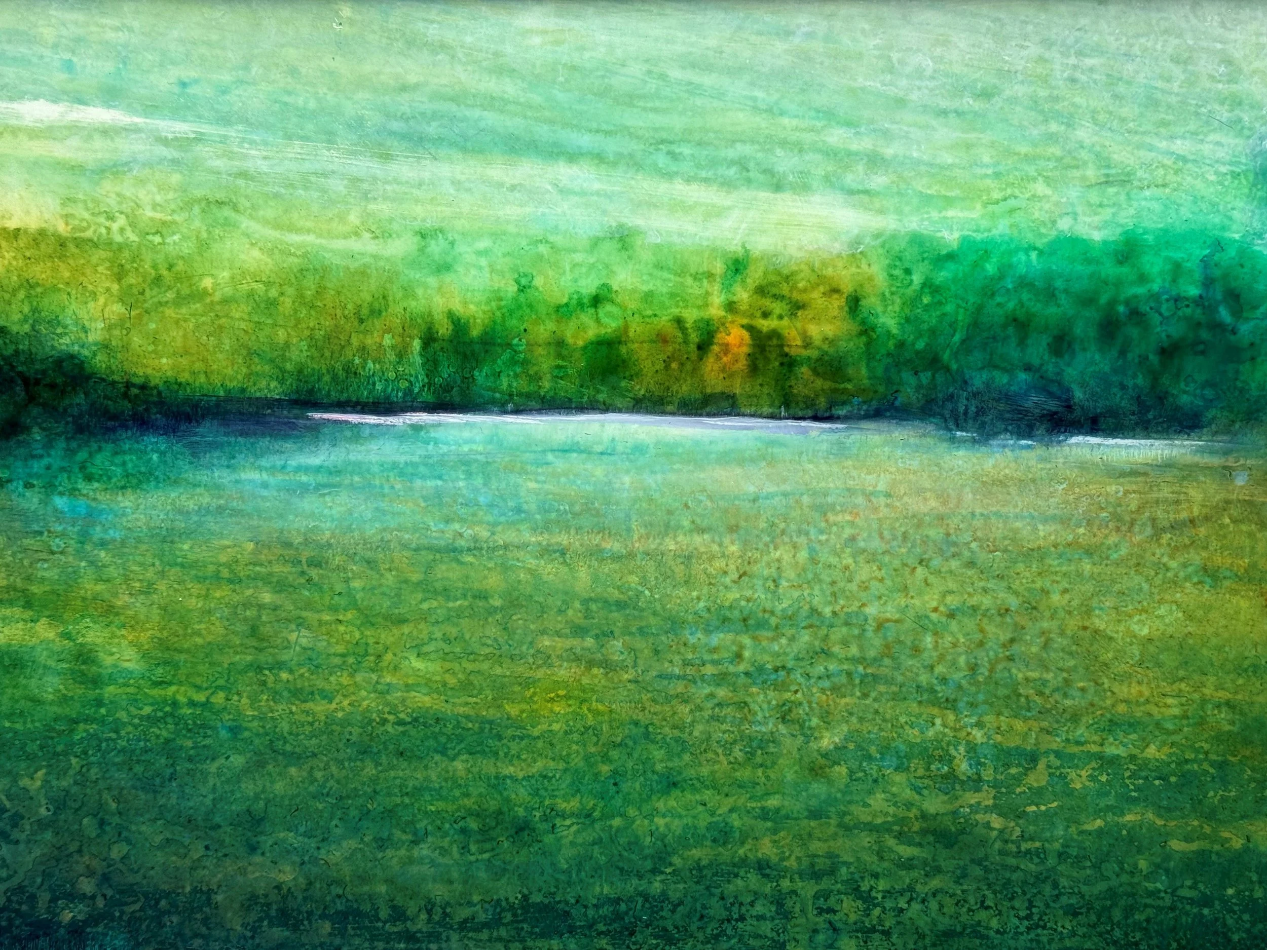 WETLANDS STUDY 2