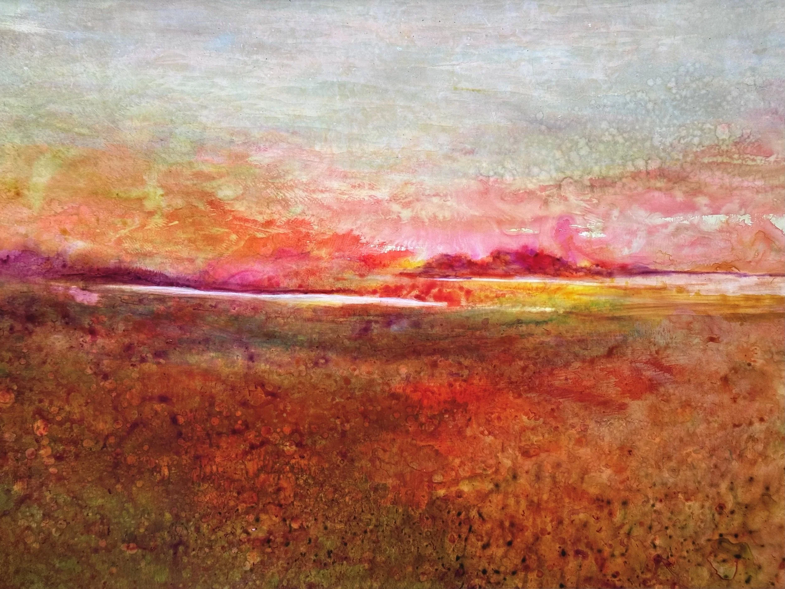 FIELDS STUDY 6