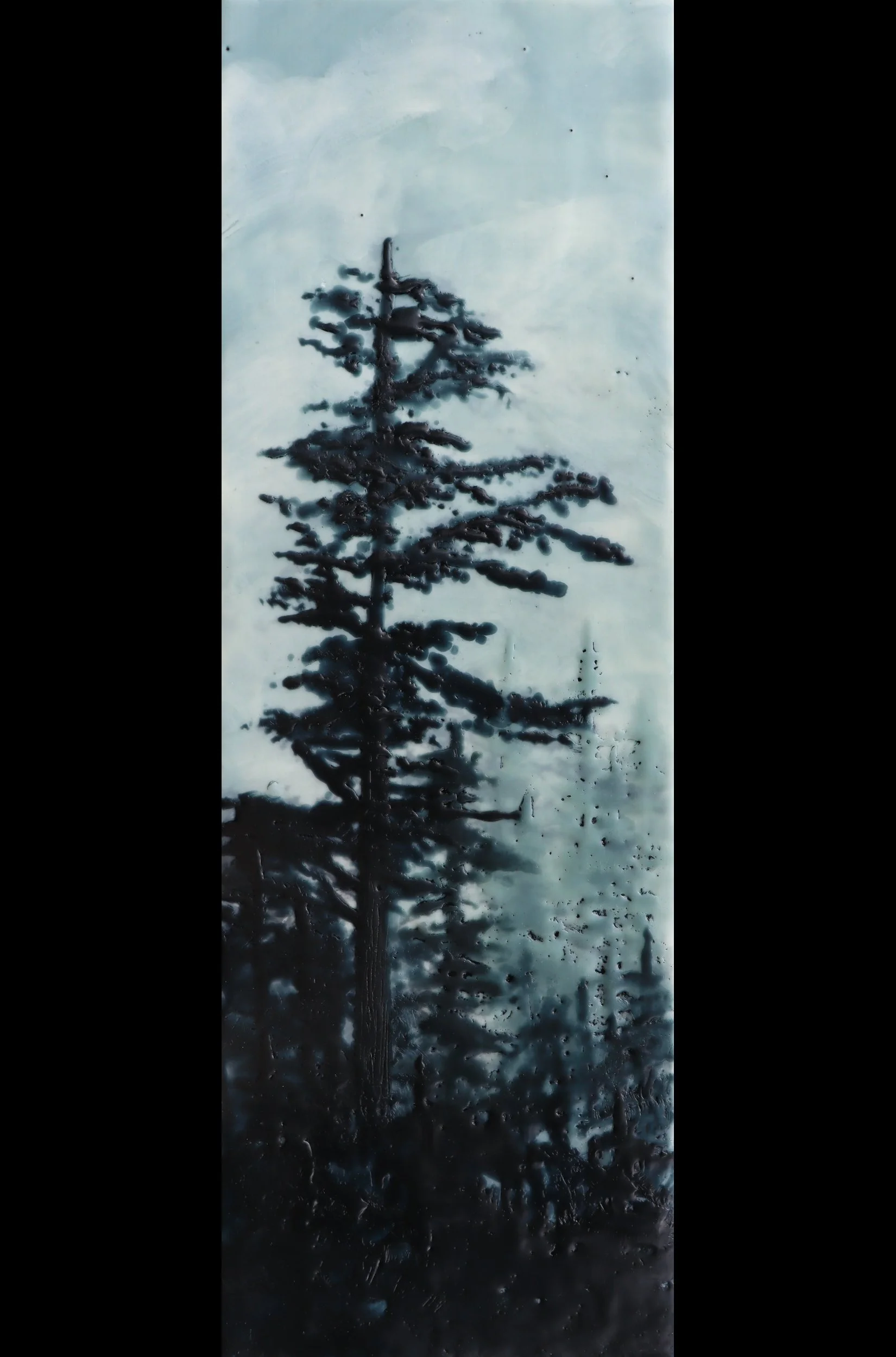 MORNING MIST 137