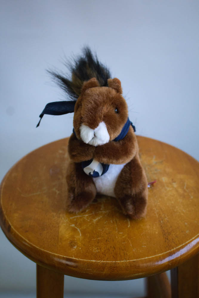 Squirrel.jpeg