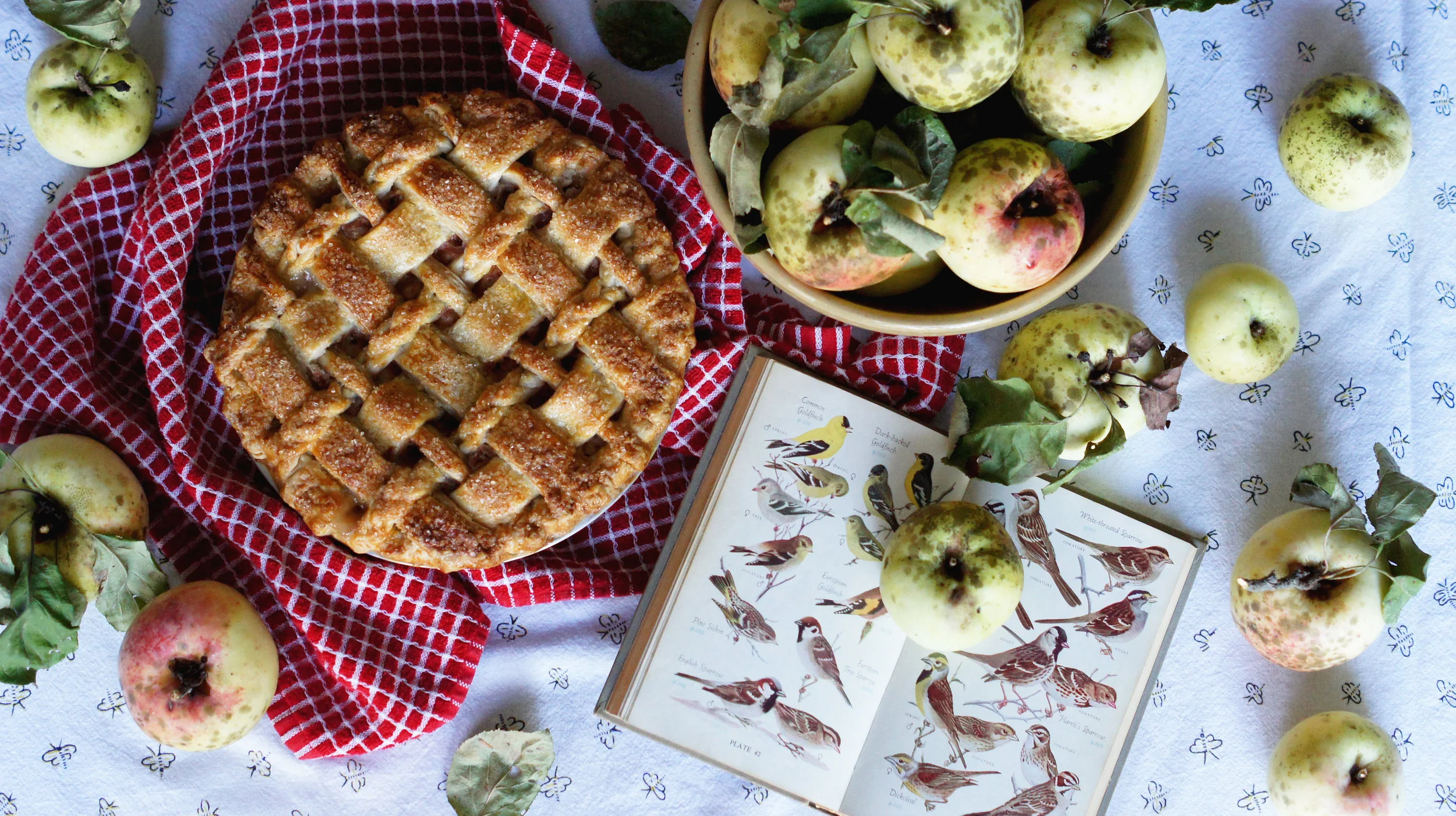 Braided Plaid Apple Pie