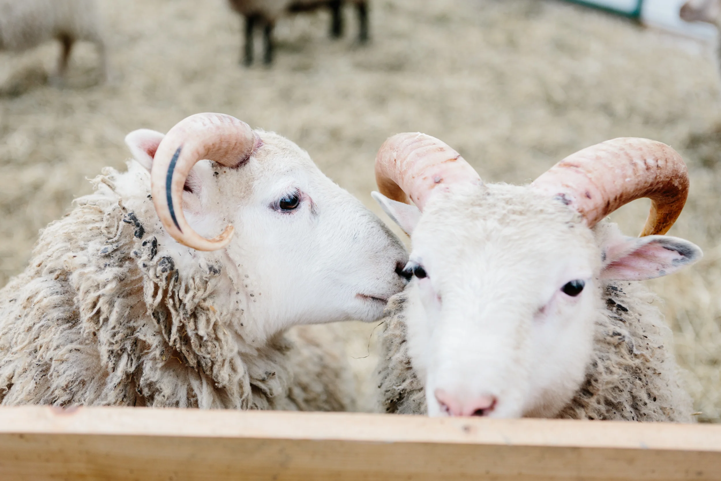 APT_MarbleHillFarm07.jpg