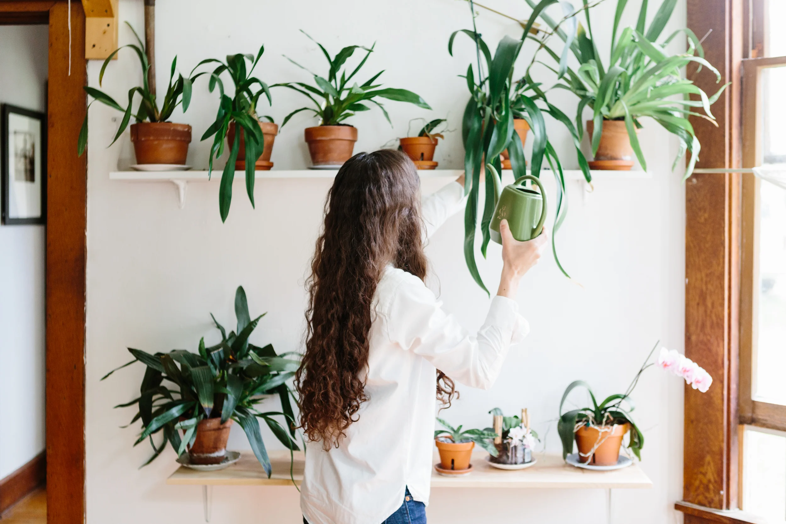 Editorial-portrait-woman-documentary-plants