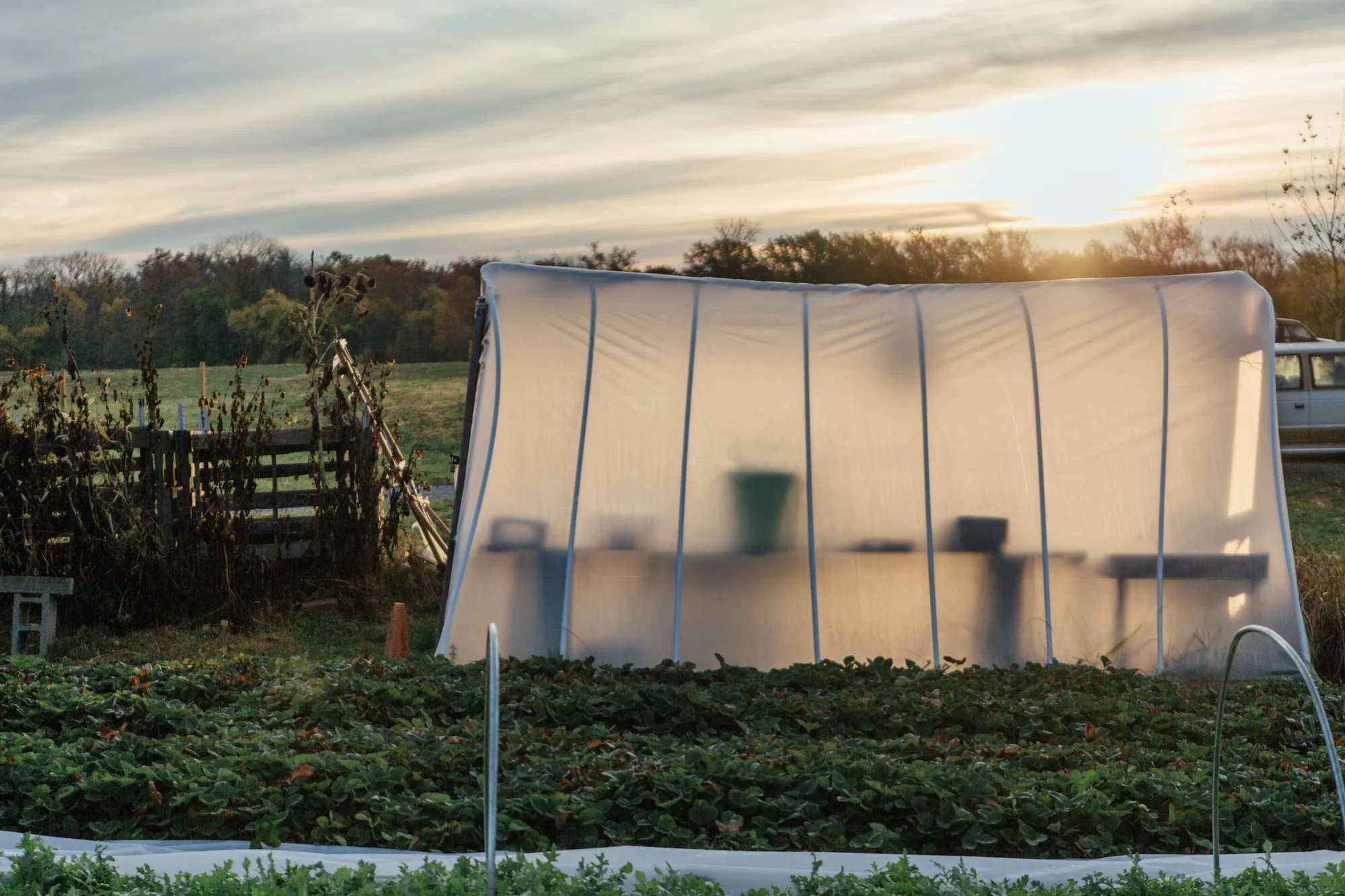 Trader's Point Creamery for Driftless — Anna Powell Denton