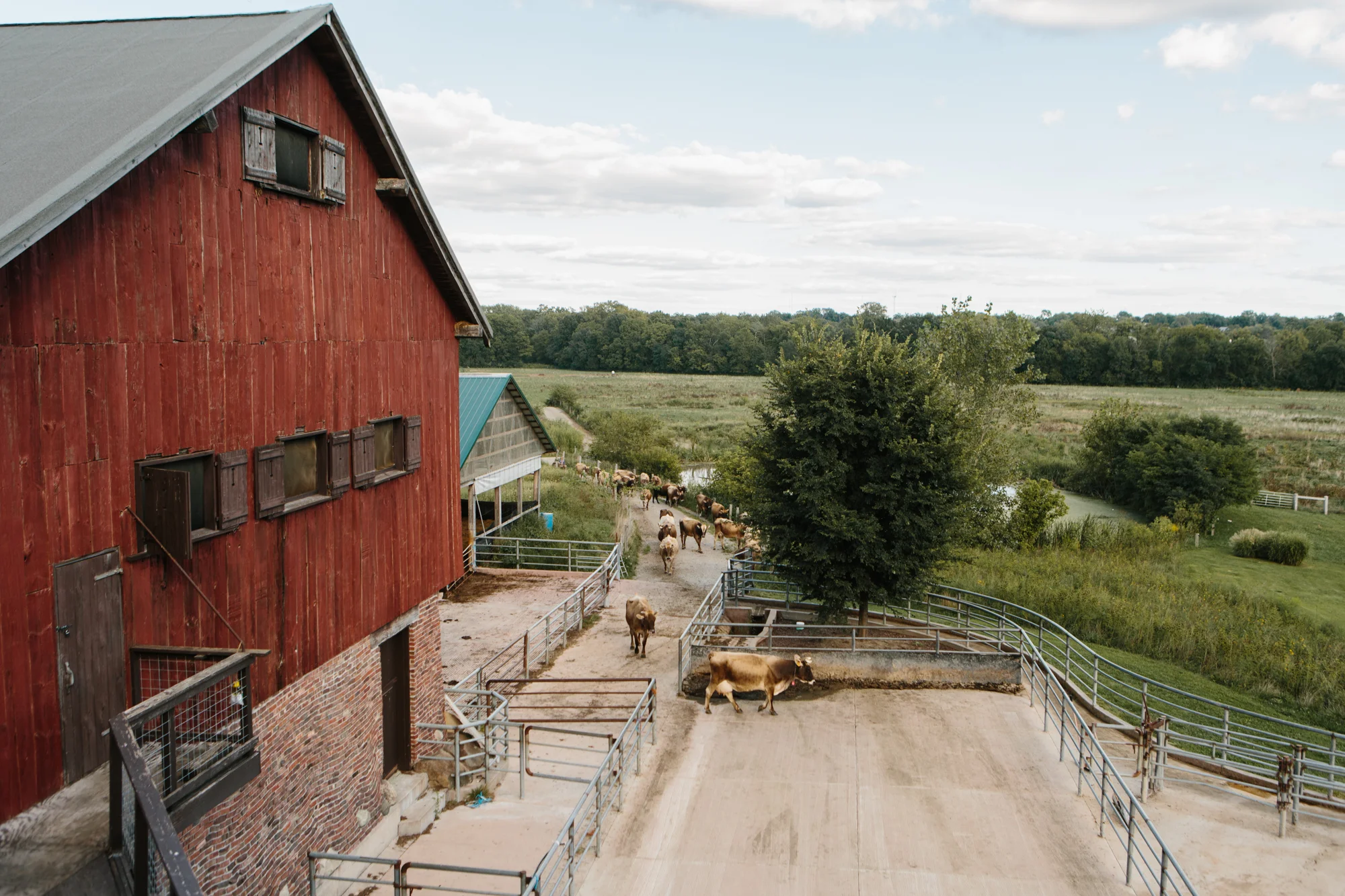 Photography from Lidia and Bryan's wedding at Trader's Point Creamery in Indianapolis, Indiana.