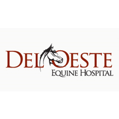 Deloeste Equine Hospital.jpg