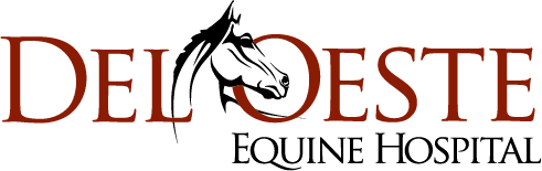 del oeste 2026 sponsorship logo.png
