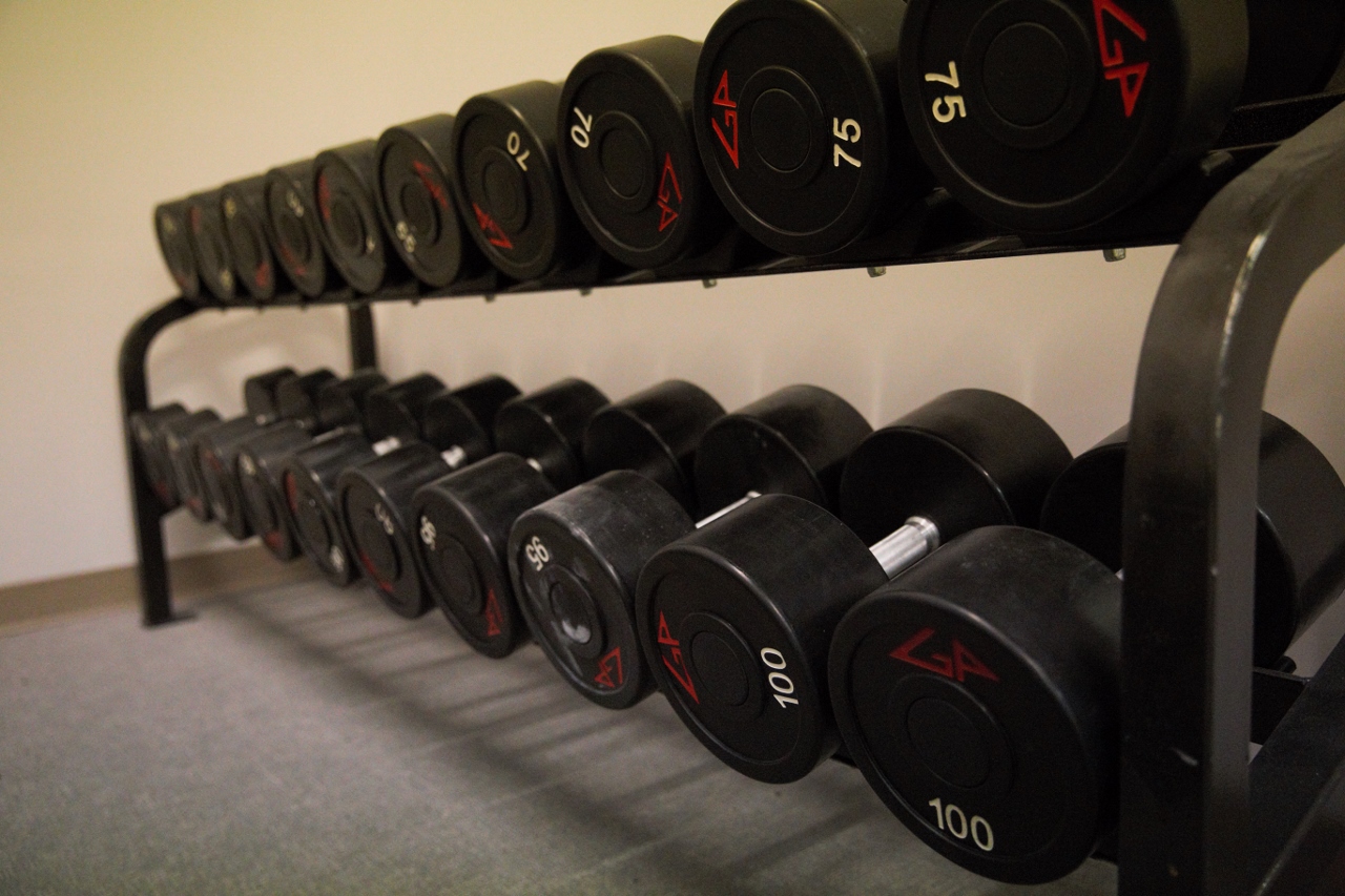 Dumbbells from 5# to 100#