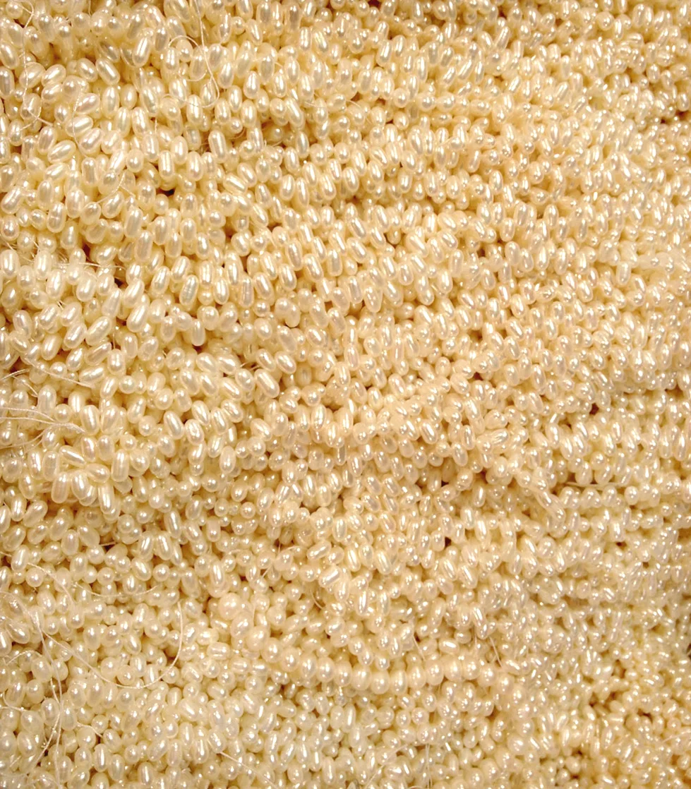 A sea of pearls. 