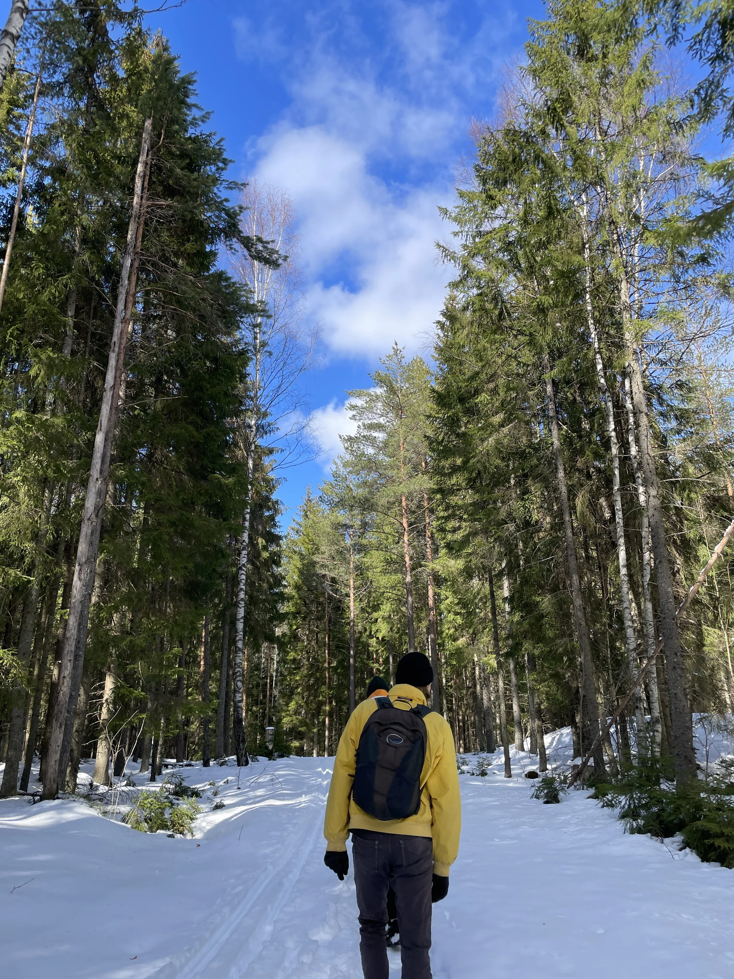 spring hike at sipoo national park