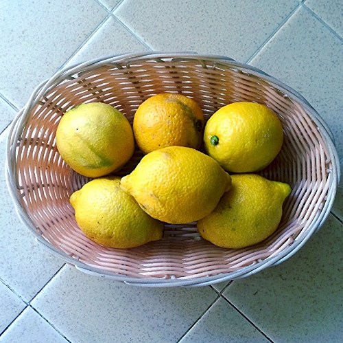 Homegrown lemons? Even better!