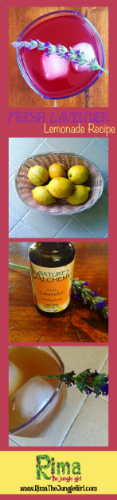 http://www.rimathejunglegirl.com/blog/lavenderlemonade There are many ways to make this recipe using dried lavender leaves/flowers, lavender oil, or fresh leaves/flowers. This recipe uses the basics.