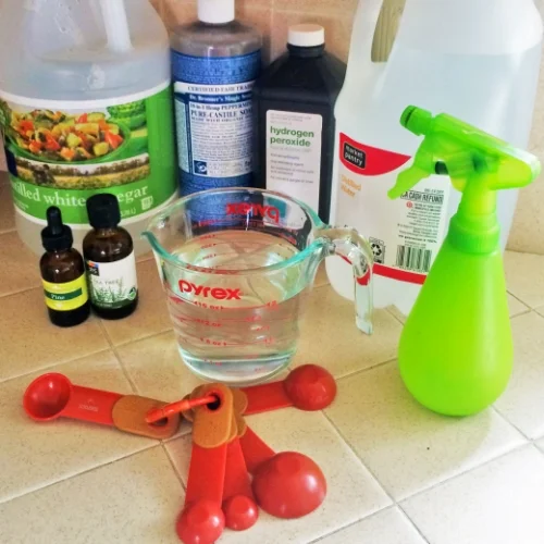 DITCH THE CHEMICALS & THE BLEACH! It's soooo freakin' easy (AND CHEAP) to make your own homemade all-purpose spray with these 5 ingredients (plus water). Your family and home will be on it's way to being non-toxic AND germ-free. Imagine that!