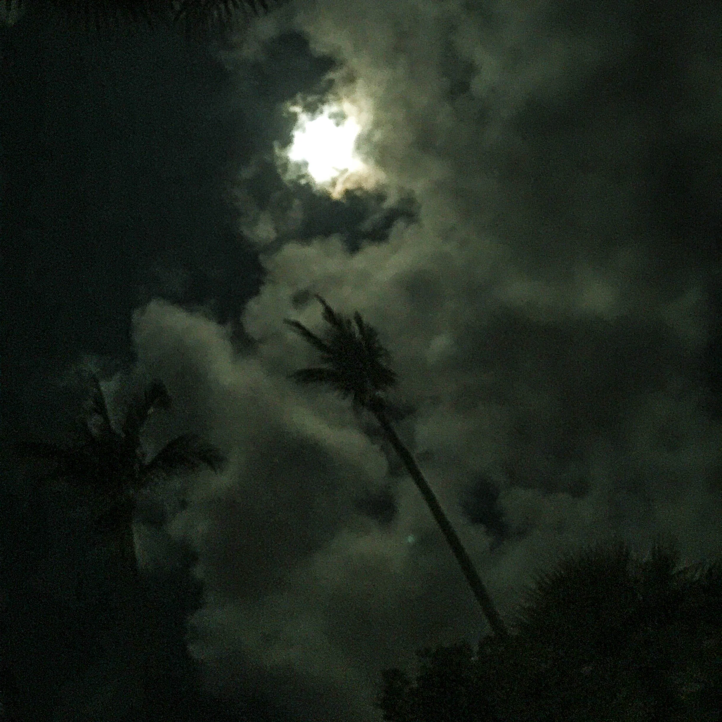 We stared at the beautiful moon for hours, sending love and affection.