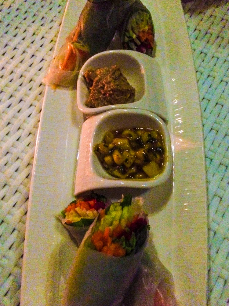 Fresh Spring Rolls with a mango chutney and a tamarind dipping sauce. Divine!