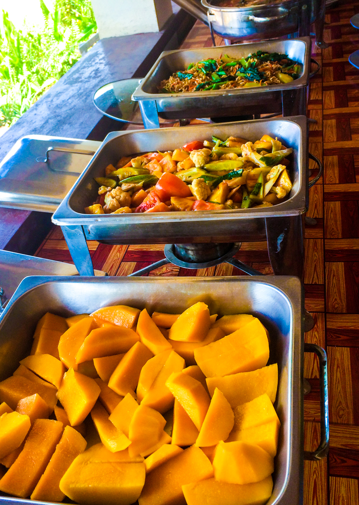 Curry, Noodles, Sweet-n-sour vegetables, and mangos were on the menu at Elephant Nature Park in Cambodia.