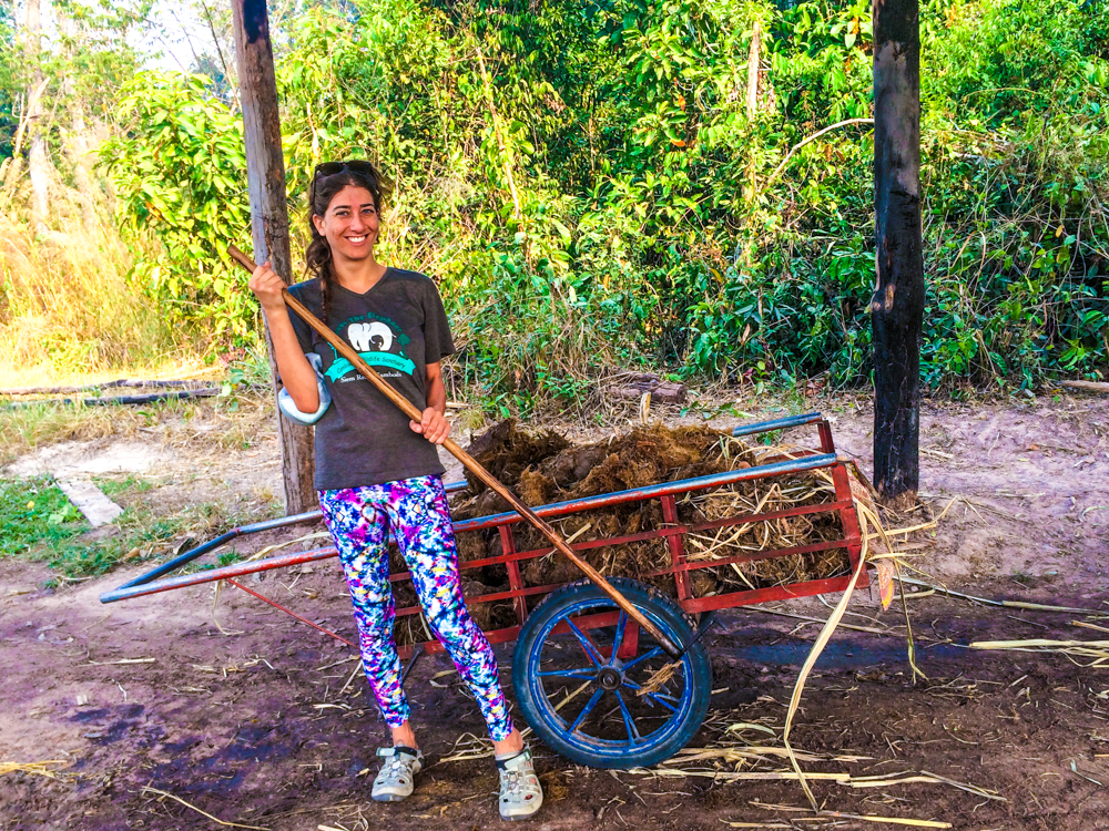 Collecting Elephant poop to use for compost at Elephant Nature Park.