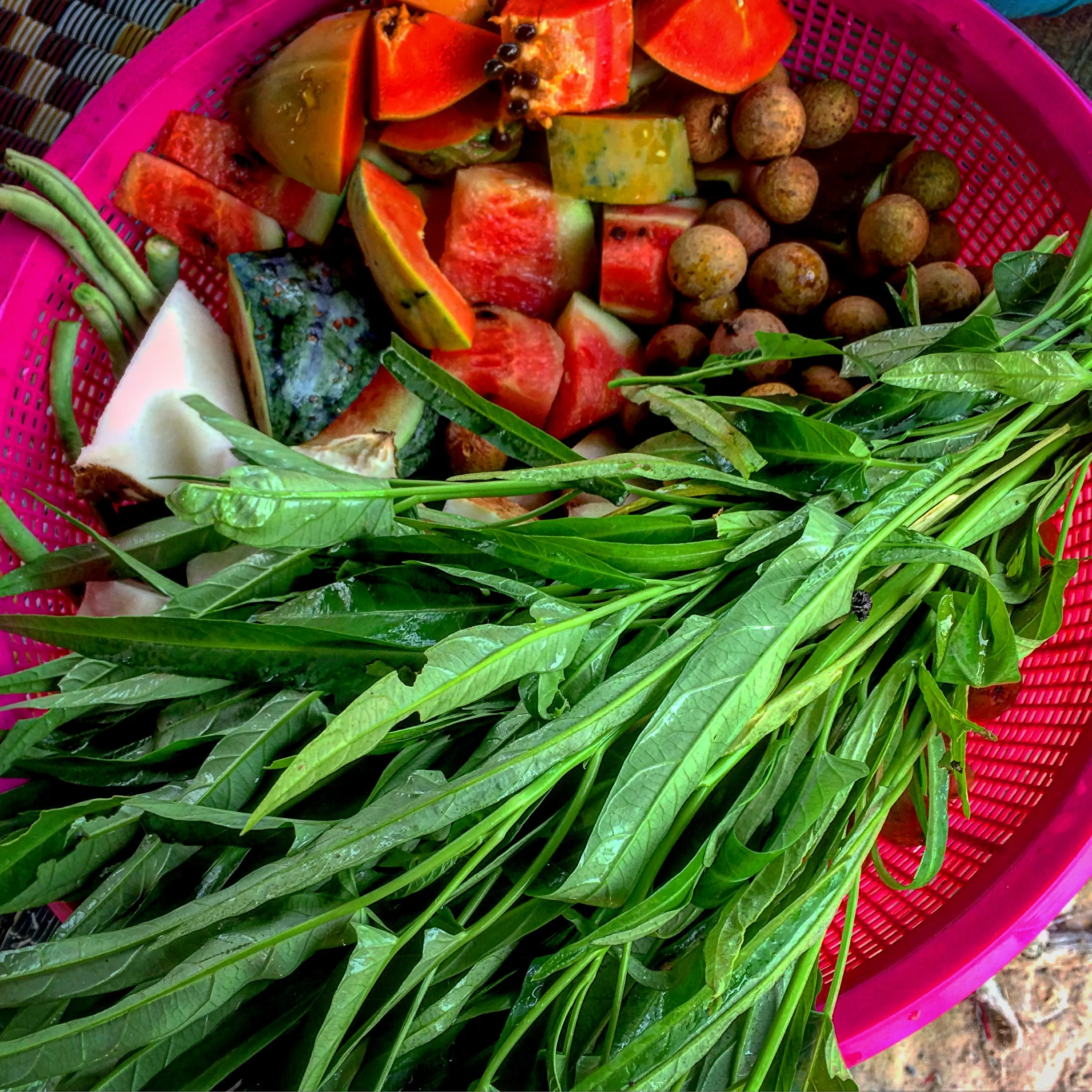 A monkey's diet is colorful and balanced!