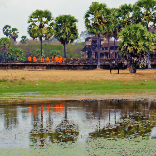 A group of monks and their reflections walking together as they enter Angkor Wat temples.