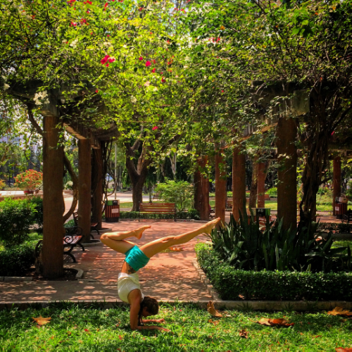 Forearm stand at a lovely park in the middle of Ho Chi Minh City. It's adorned with a variety of plant life, is very clean, and has many different kinds of exercise equipment around the park. We saw a group of men practicing with nunchuks and headstands, so I had to jump in.