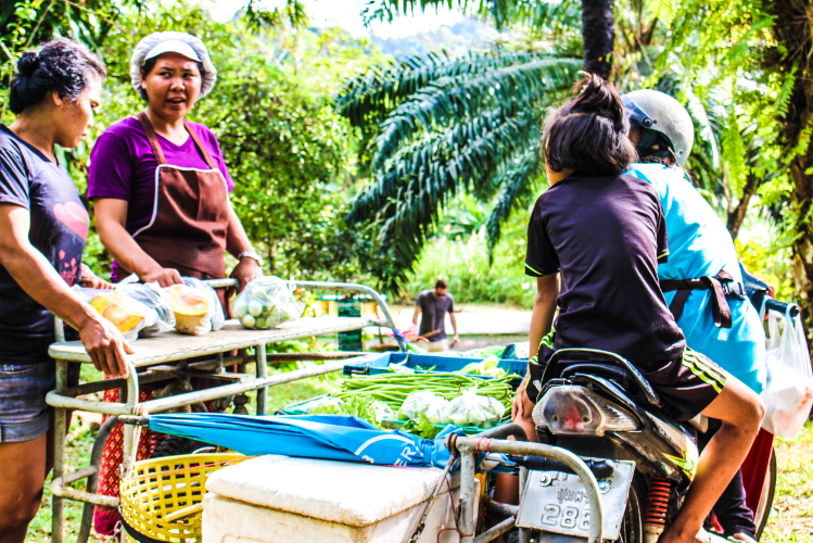 Occasionally, there's not enough food harvested from the garden so Eco-Logic purchases produce from local farmers.