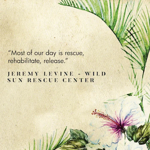 Episode-Quote-Covers-16.jpg