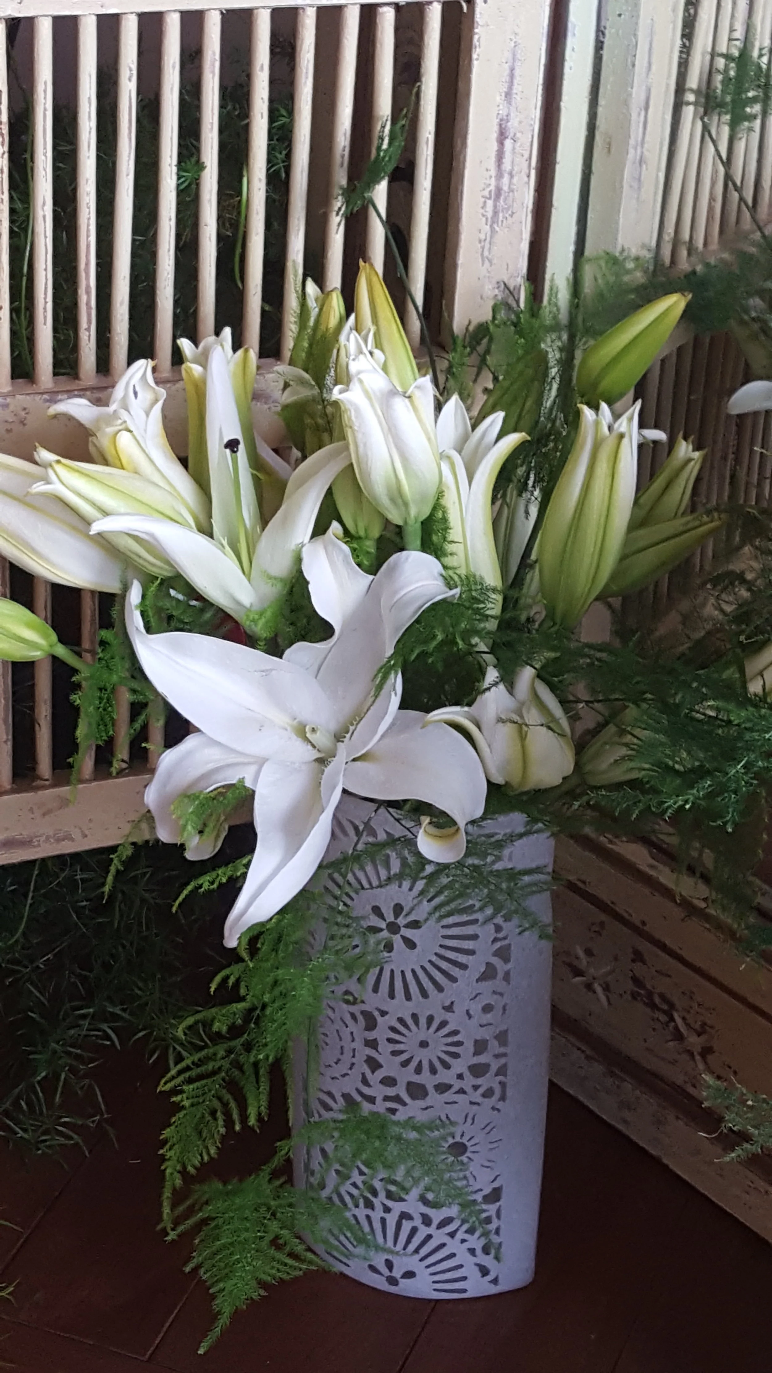 20180113_143146.jpg