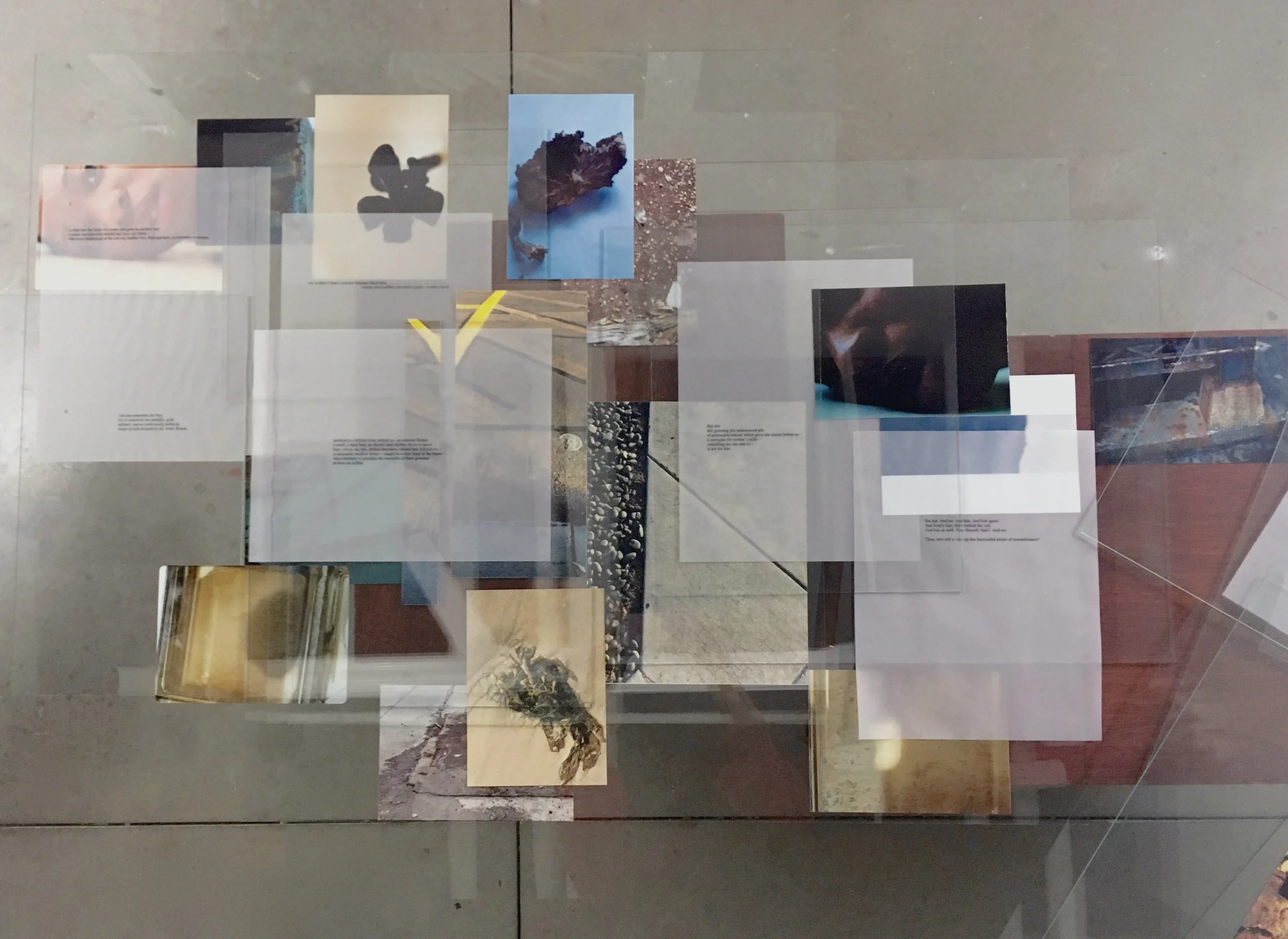 Immaterial 1.jpg