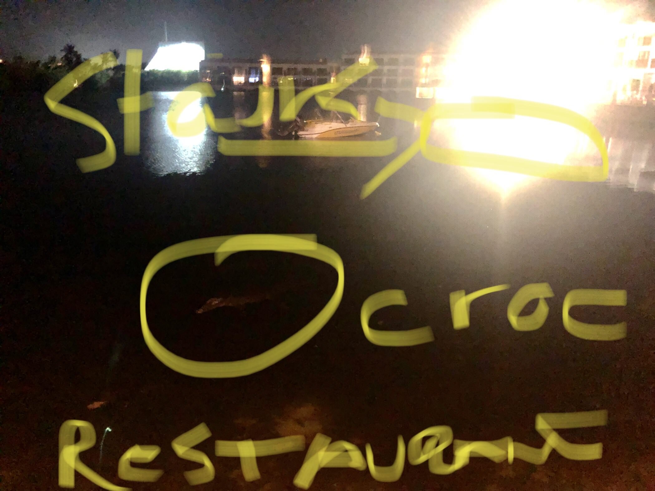 Images taken from restaurant, following week. Crocs circling.