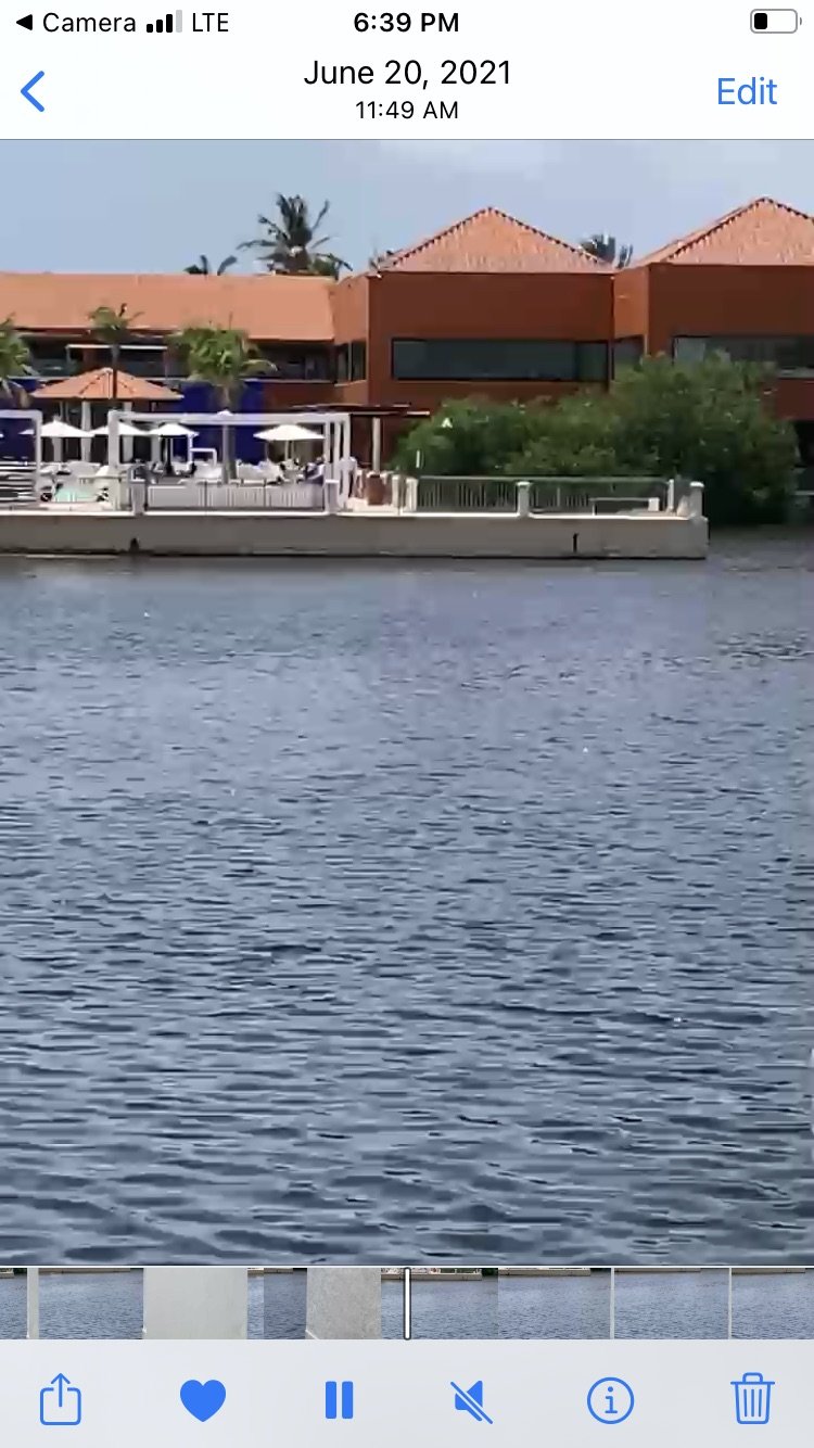 View of dock and restaurant from hotel rooms.