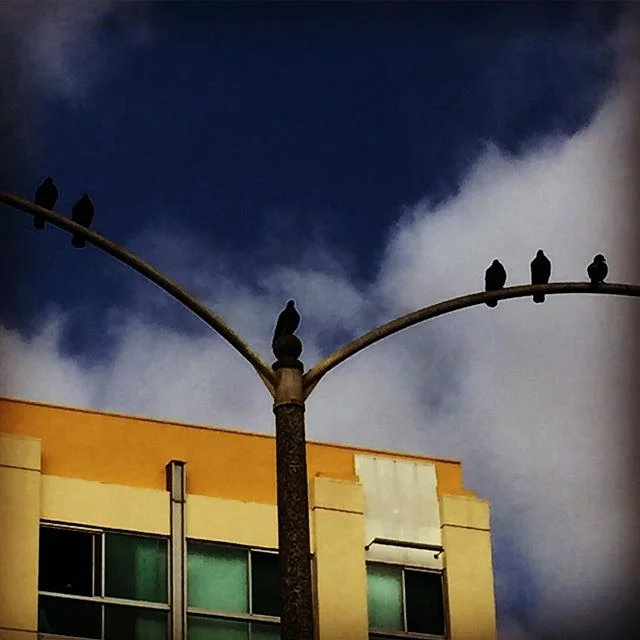 Good morning Singularity 🌕
.
.
.
#martinlutherking #physicsphilosophylove #physics #philosophy #love #responsibility #fear #intuition #consistency #perception #respect #acceptance #patience #consciousness #confidence #desire #time #timeandlove #sing