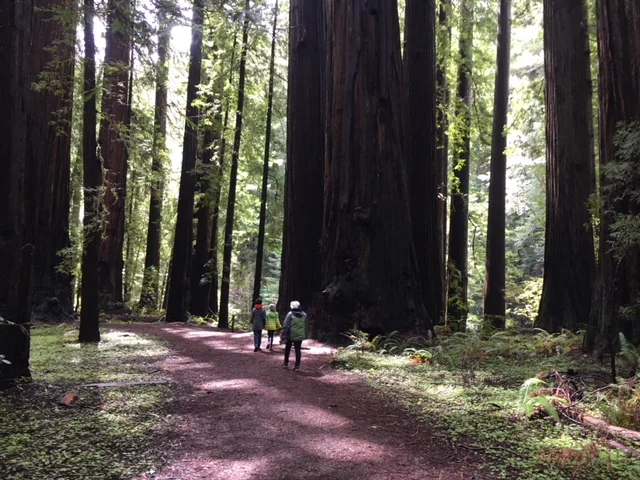 GO NORTH, MY FRIENDS