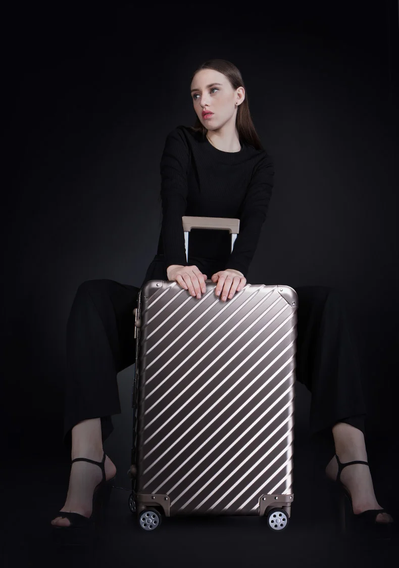 ENKLOZE KLASIK Aluminum Silver Suitcase and Carry On — ENKLOZE