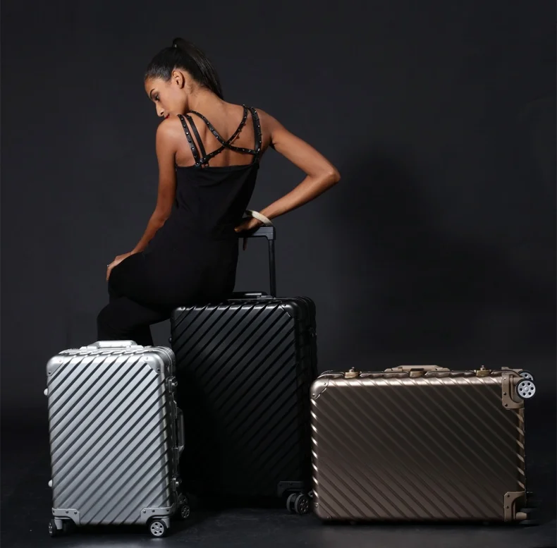 ENKLOZE KLASIK Aluminum Silver Suitcase and Carry On — ENKLOZE