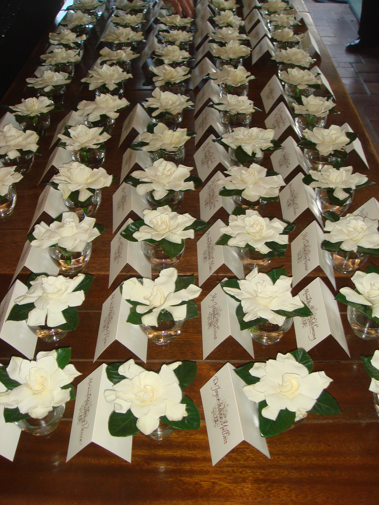 Copy of DSC06226.jpg