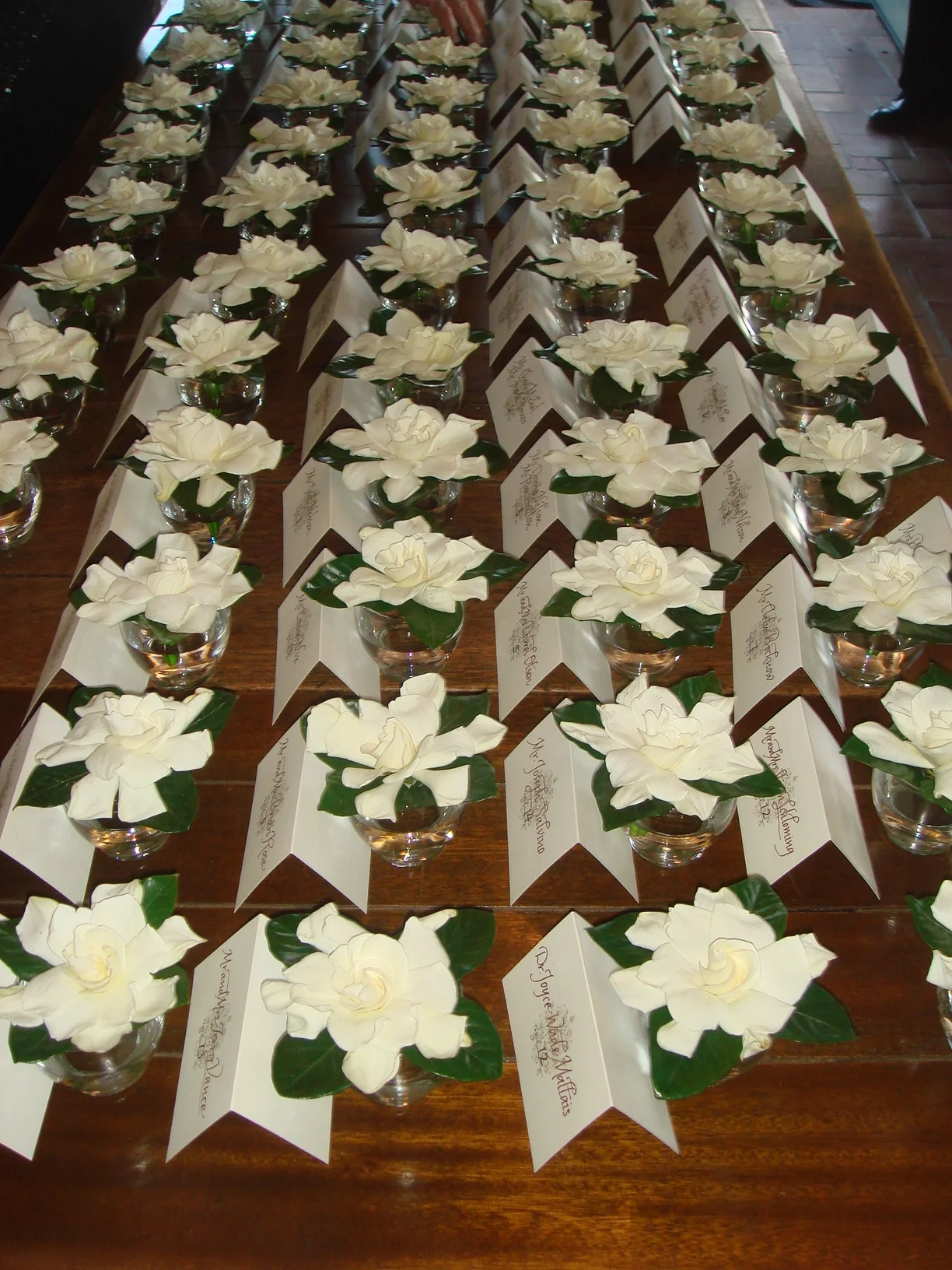 Copy of DSC06226.jpg