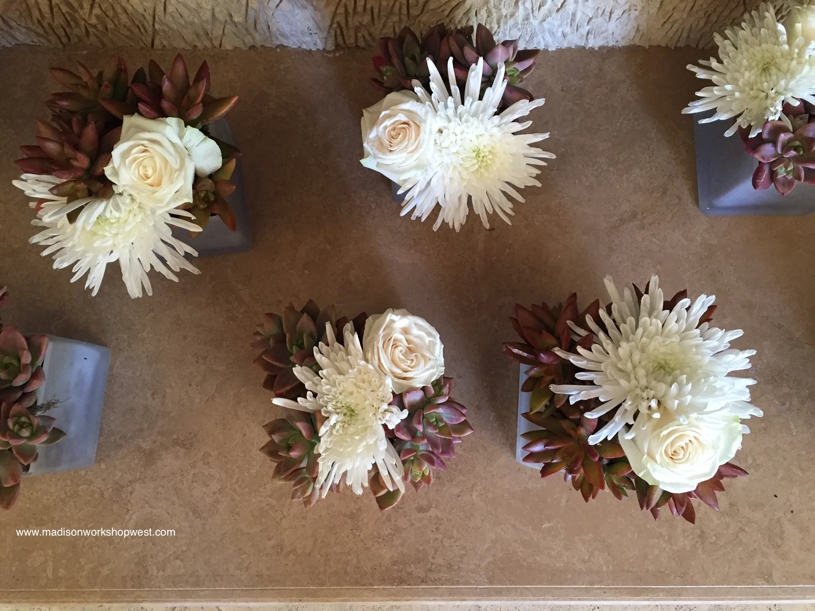 succulent boxes.jpg