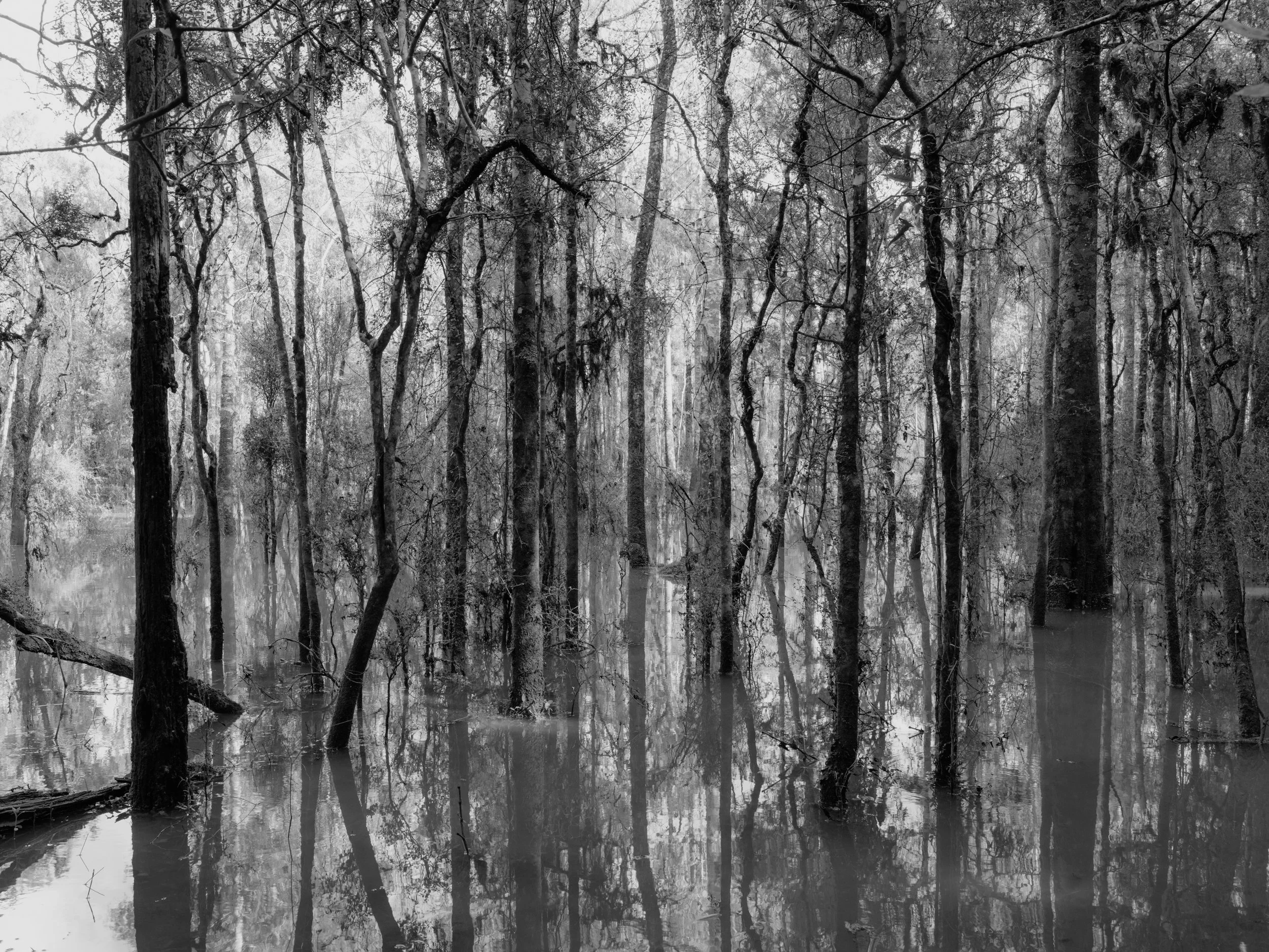 DST-RL-MANGANUIRIVER-0725-6759bw.jpg