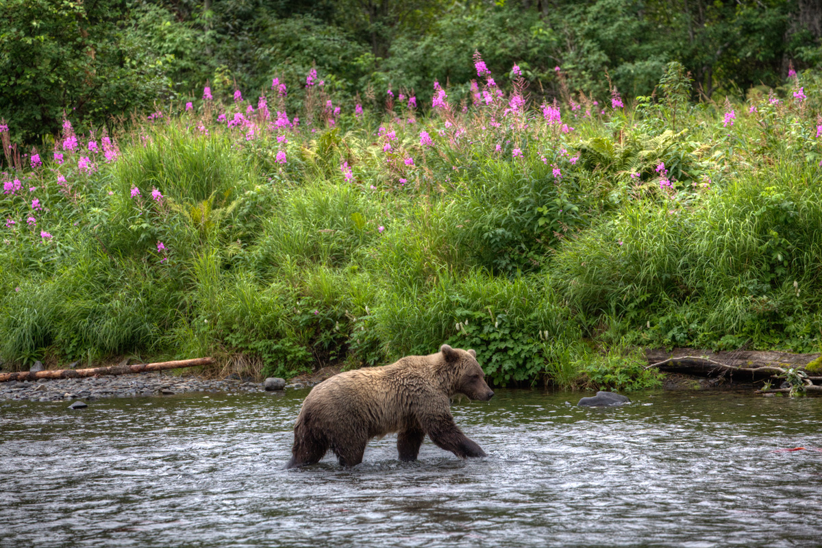 _MG_6848_tonemapped.jpg